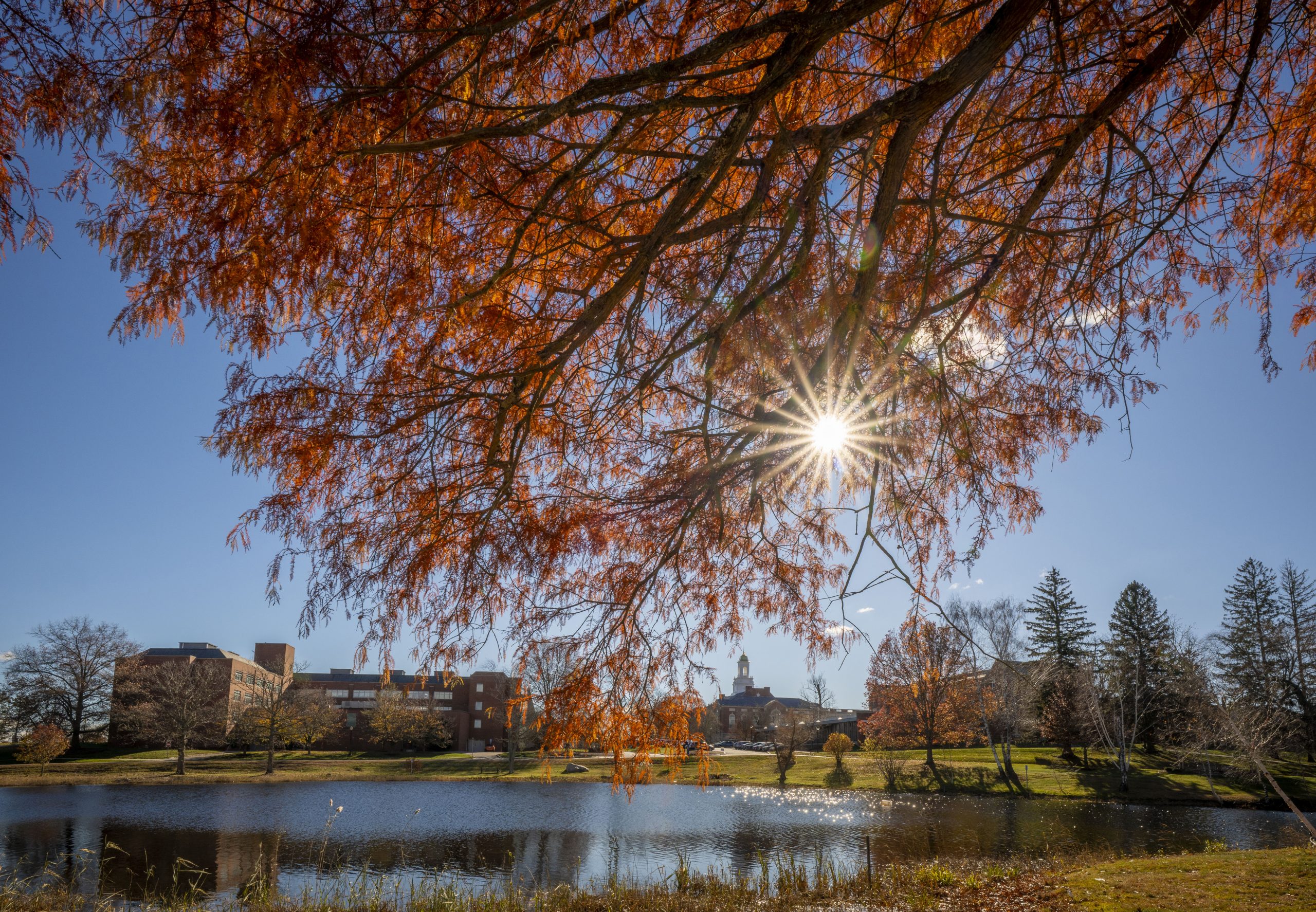 Scenic photo of Wilbur Cross looking over Swan lake on Nov. 24, 2025.